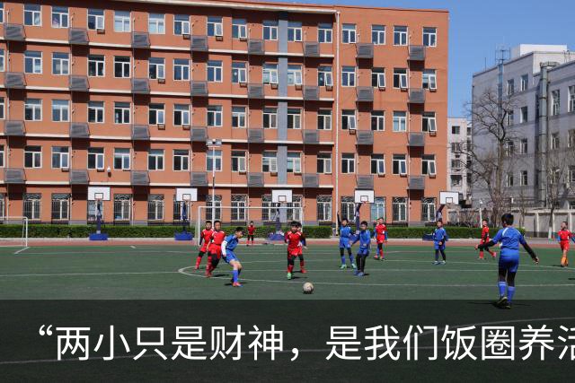 “两小只是财神，是我们饭圈养活国乒”？饭圈狂言刷屏，网友热议