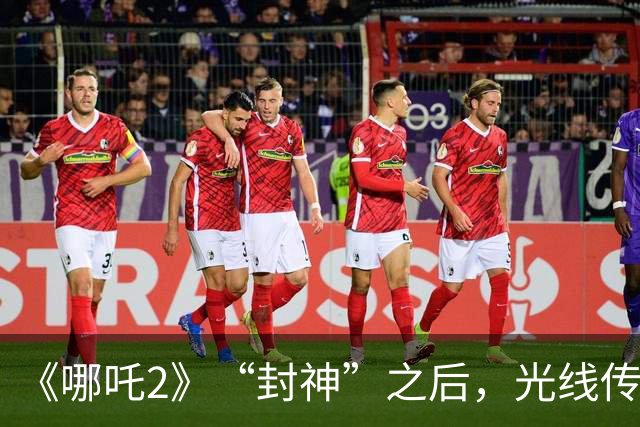 《哪吒2》“封神”之后，光线传媒净利暴跌98%