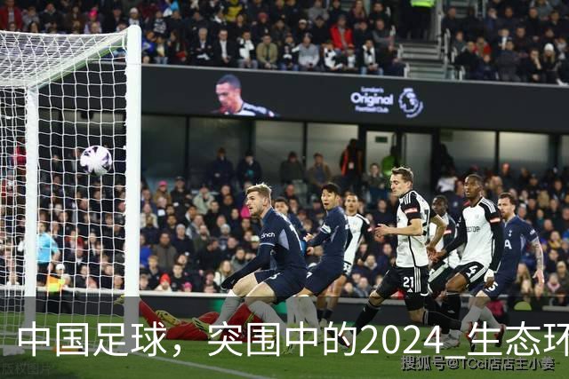 中国足球，突围中的2024 生态环境将实现好转