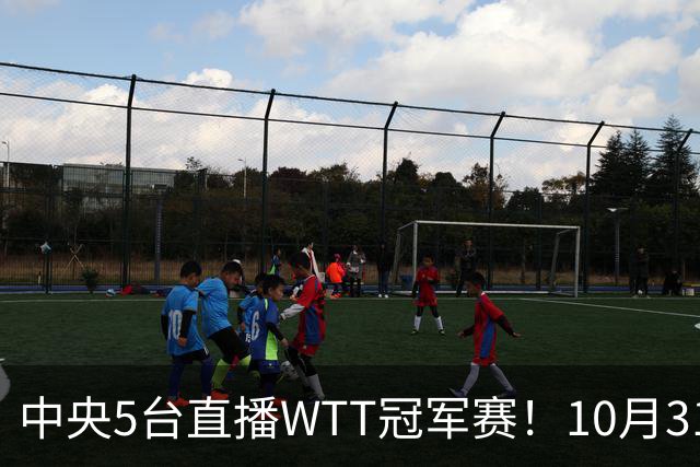 中央5台直播WTT冠军赛！10月31日CCTV5节目单 孙颖莎领衔冲四强！