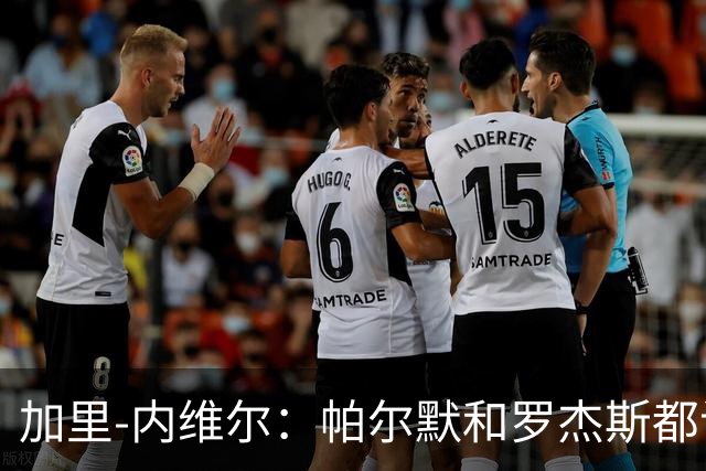 加里-内维尔：帕尔默和罗杰斯都该染红