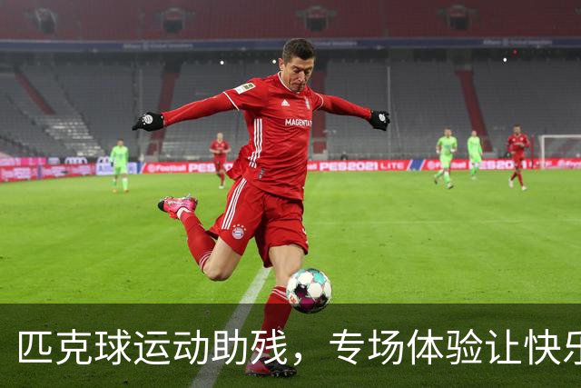 匹克球运动助残，专场体验让快乐“动”起来