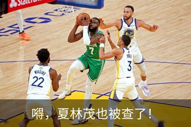 嘚，夏林茂也被查了！