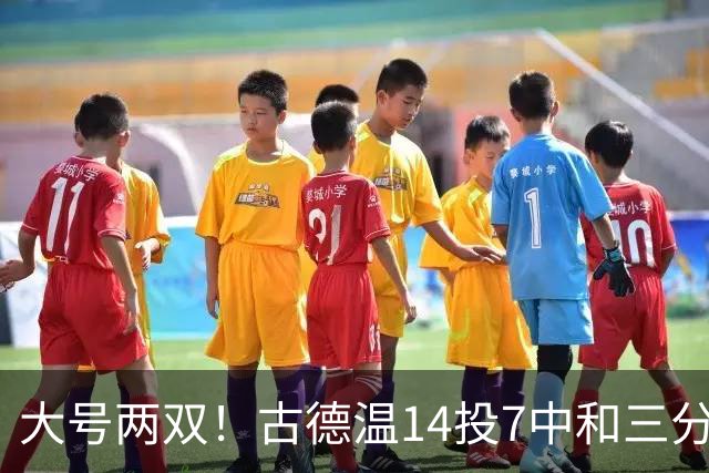 大号两双！古德温14投7中&三分7中3砍下20分5板14助1断