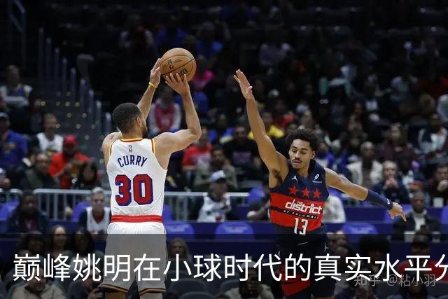 巅峰姚明在小球时代的真实水平分析