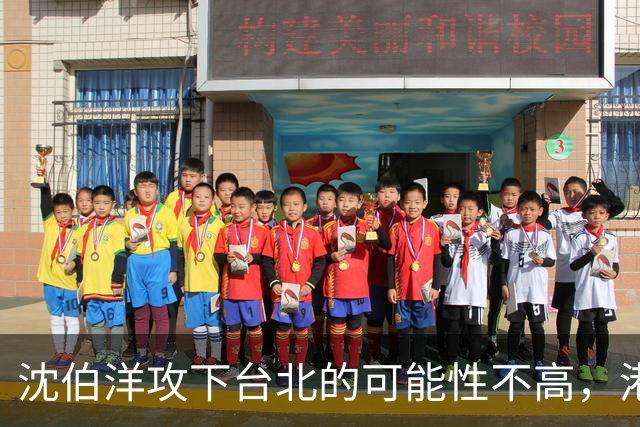 沈伯洋攻下台北的可能性不高，港媒：卢秀燕接任蒋万安竞总主委，风险不高利益不小