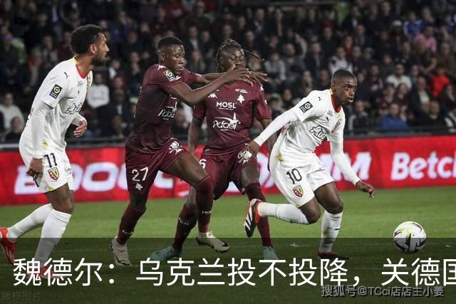 魏德尔：乌克兰投不投降，关德国什么事？欧洲什么事