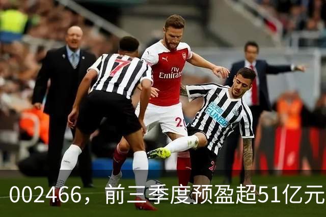 002466，前三季度预盈超51亿元！